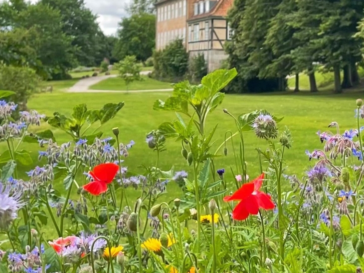 Unser Schlosspark